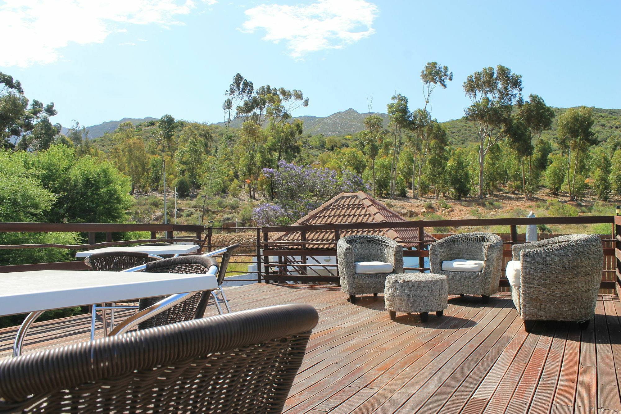 Mountain View Eco Lodge Montagu Eksteriør billede