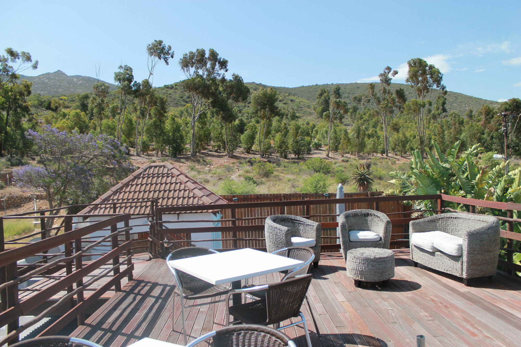 Mountain View Eco Lodge Montagu Eksteriør billede